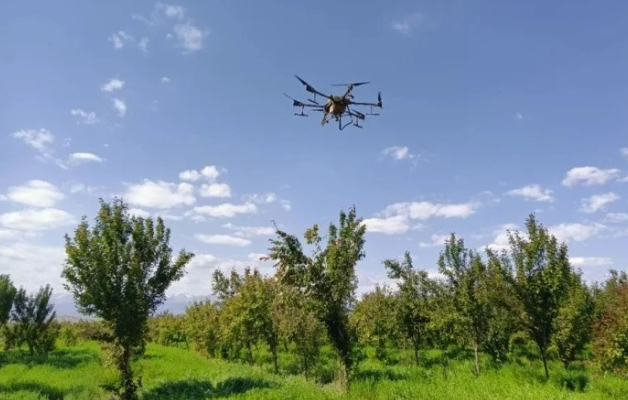 無人機(jī)助力山區(qū)產(chǎn)業(yè)增效、果農(nóng)增收(圖1)