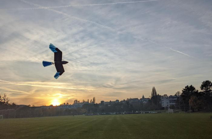 最新研發(fā)鳥型無人機 可在城市森林等密集環(huán)境轉彎避障(圖1)