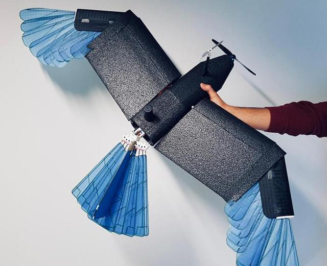 最新研發(fā)鳥型無人機 可在城市森林等密集環(huán)境轉彎避障(圖2)