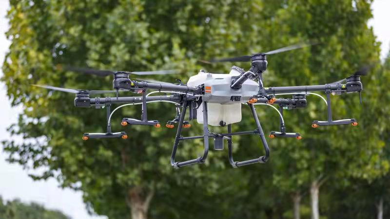 無人機(jī)消殺美國(guó)白蛾 防止蛾蛹入土越冬(圖1) 無人機(jī)消殺美國(guó)白蛾 防止蛾蛹入土越冬(圖1)